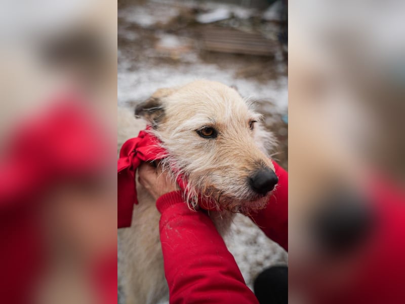 Bonnie sucht Geduld!