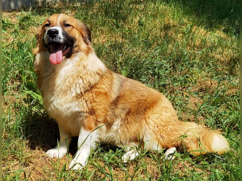 Clara sucht Ihre Menschen