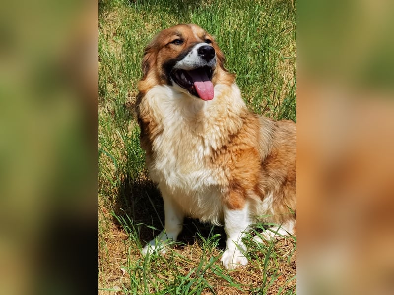 Clara sucht Ihre Menschen