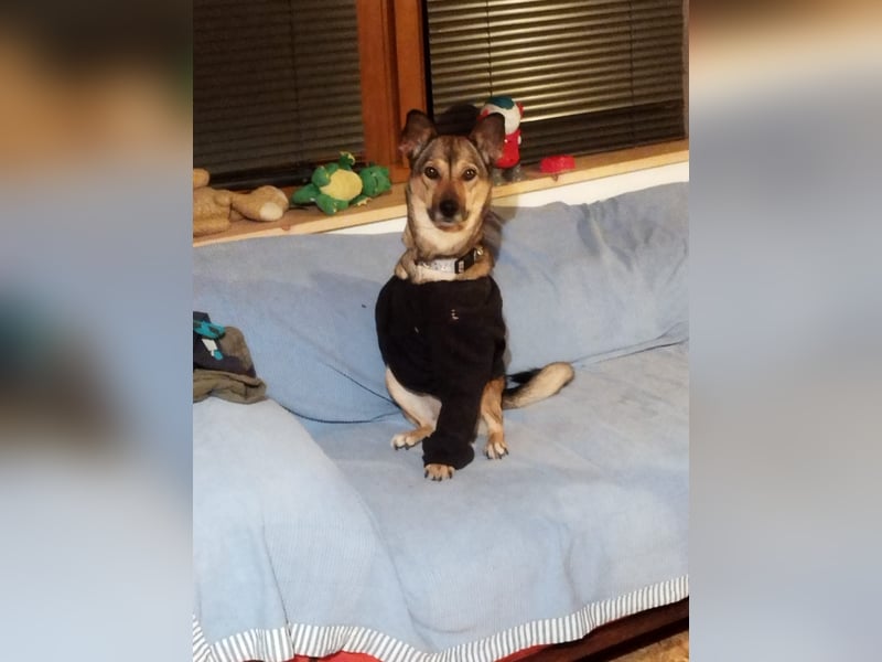 Pax sucht dringend Paten und Spender!