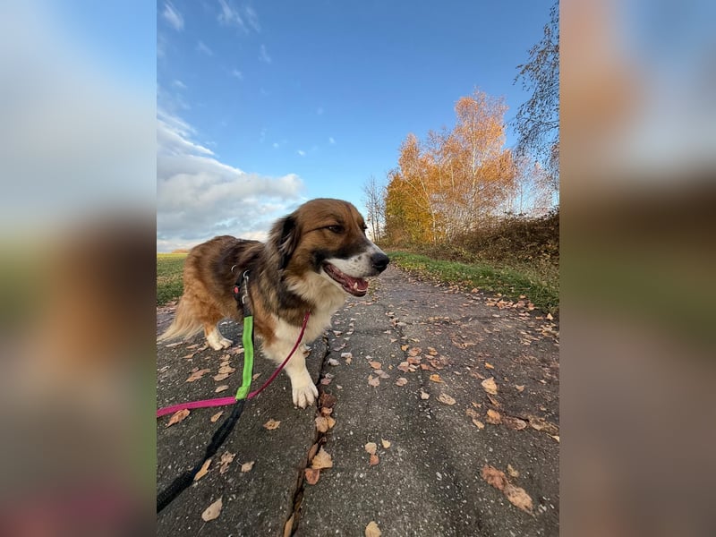 Clara sucht Ihre Menschen