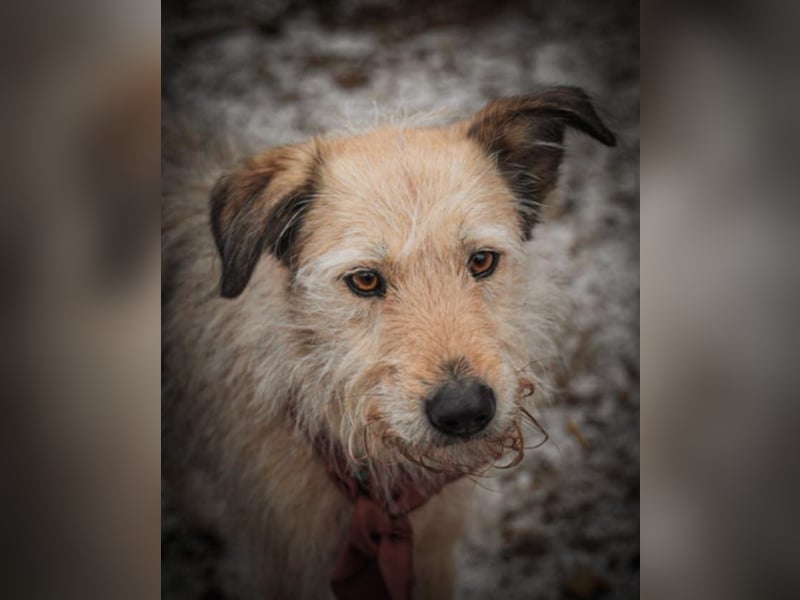 Bonnie sucht Geduld!