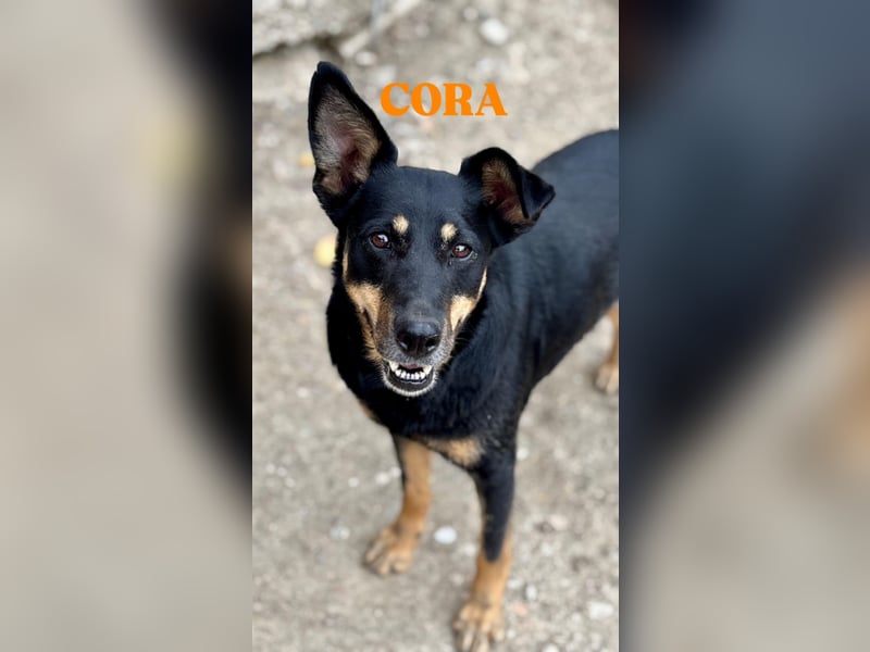Cora – vom Kettenleben ins Herz!