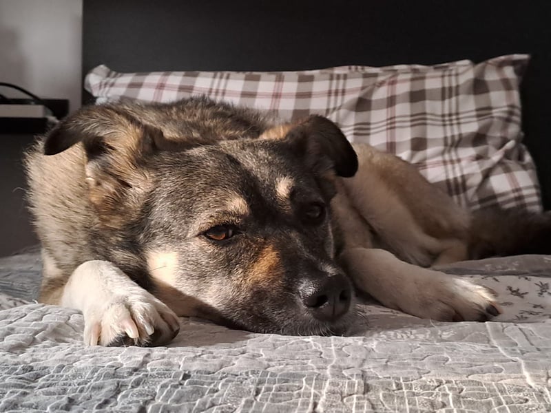 Kona sucht ihr Glück