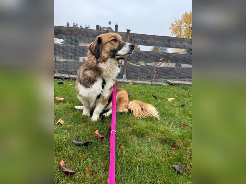 Clara sucht Ihre Menschen