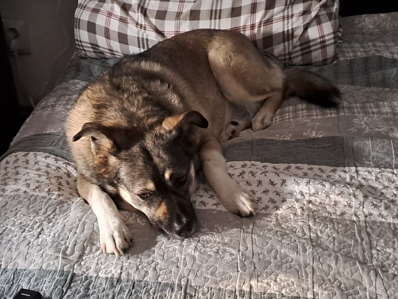 Kona sucht ihr Glück