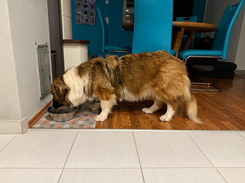 Clara sucht Ihre Menschen