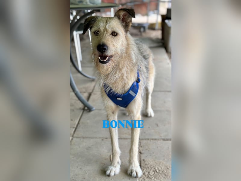 Bonnie sucht Geduld!