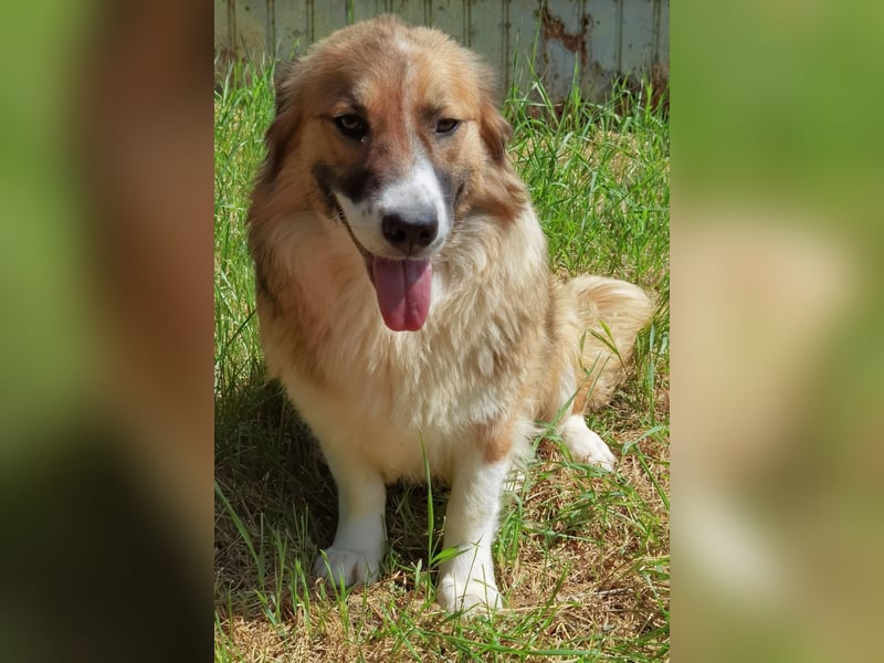 Clara sucht Ihre Menschen