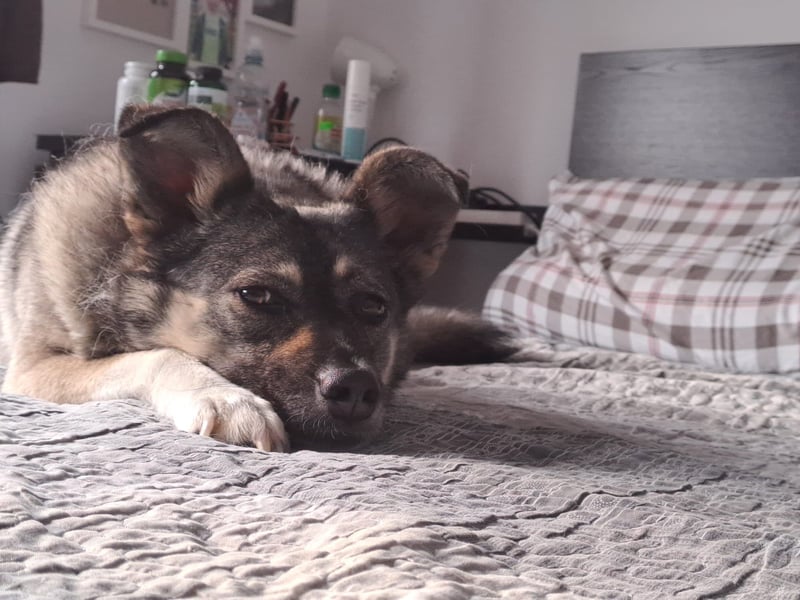 Kona sucht ihr Glück