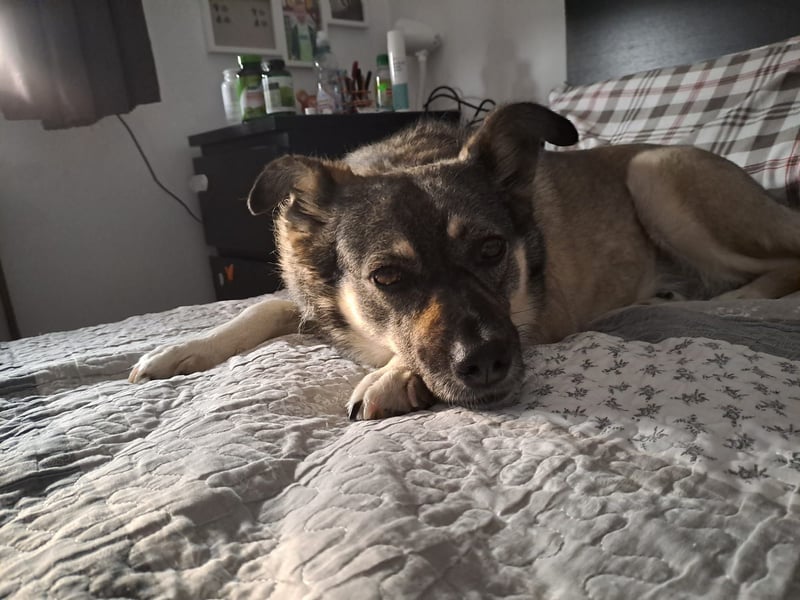 Kona sucht ihr Glück