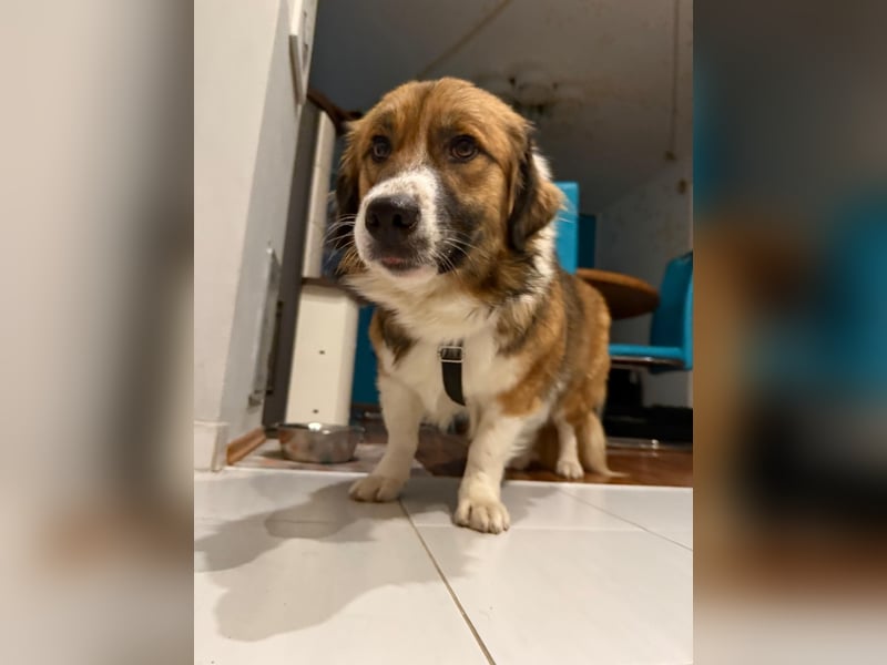 Clara sucht Ihre Menschen