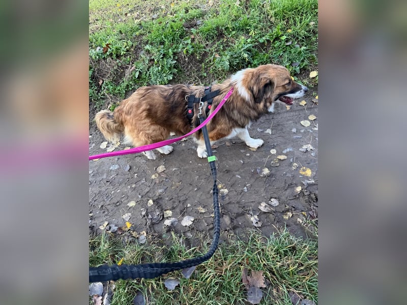 Clara sucht Ihre Menschen