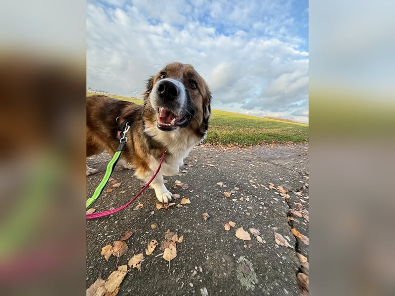 Clara sucht Ihre Menschen