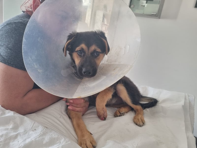 Mila sucht besondere Menschen