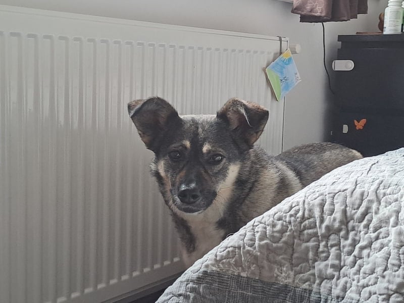 Kona sucht ihr Glück