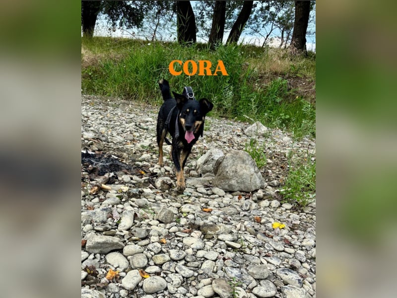 Cora – vom Kettenleben ins Herz!
