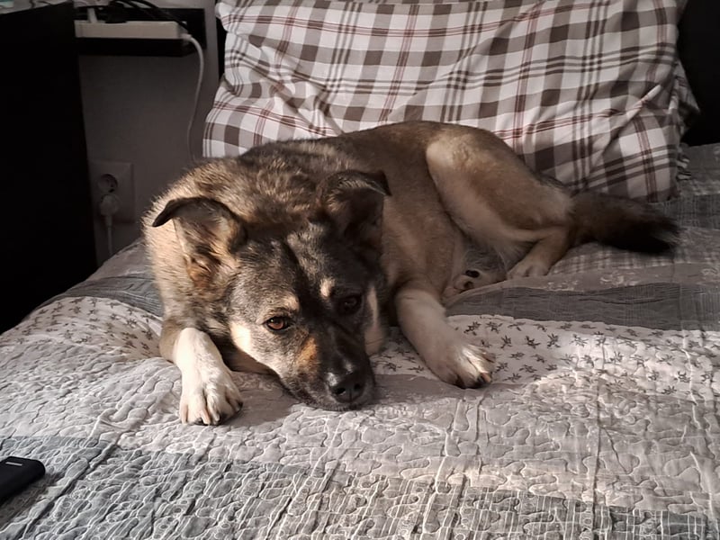 Kona sucht ihr Glück