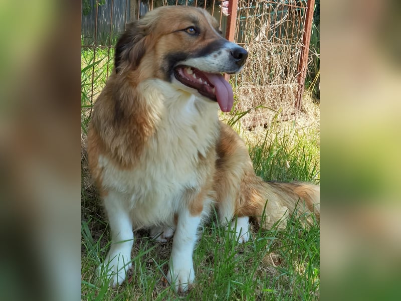 Clara sucht Ihre Menschen