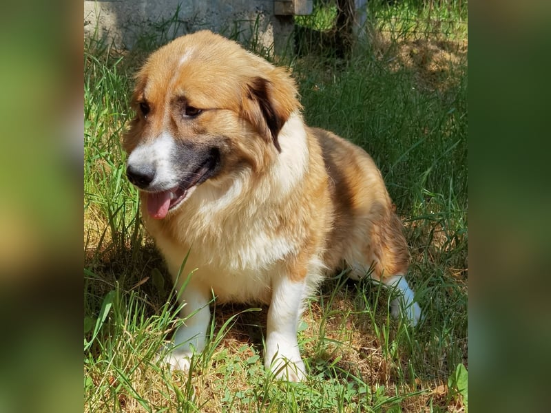 Clara sucht Ihre Menschen