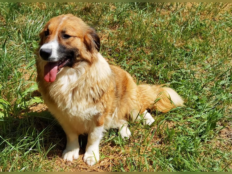 Clara sucht Ihre Menschen