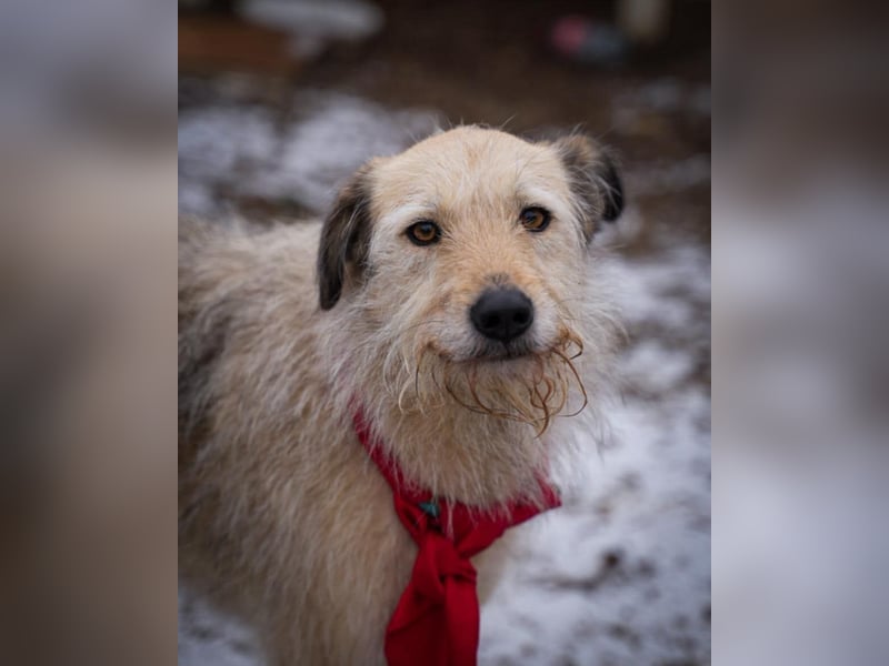 Bonnie sucht Geduld!