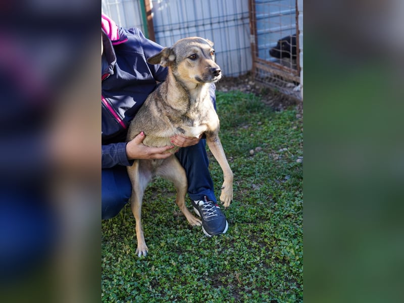 Pax sucht dringend Paten und Spender!