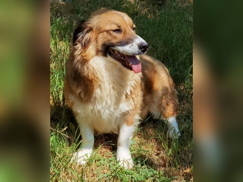 Clara sucht Ihre Menschen