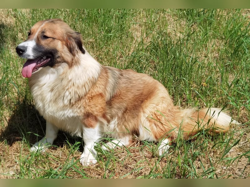 Clara sucht Ihre Menschen