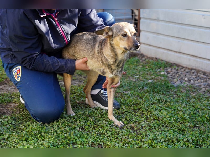 Pax sucht dringend Paten und Spender!