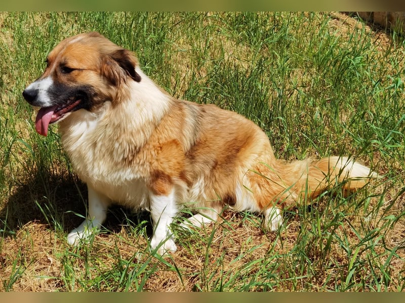 Clara sucht Ihre Menschen