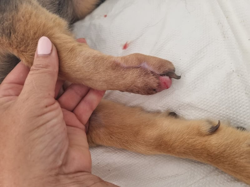 Mila sucht besondere Menschen