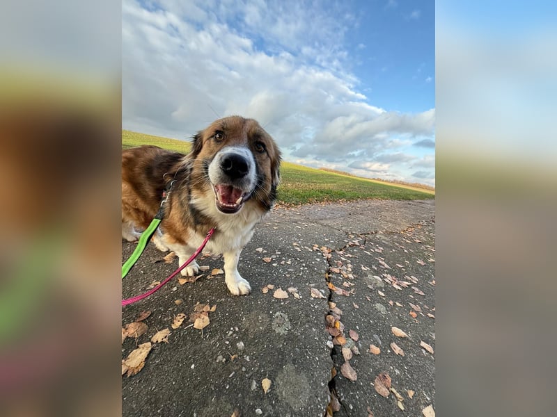 Clara sucht Ihre Menschen