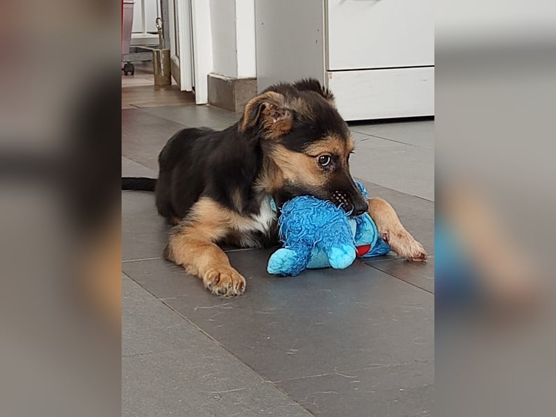 Mila sucht besondere Menschen