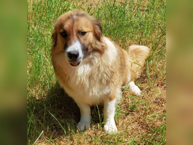 Clara sucht Ihre Menschen