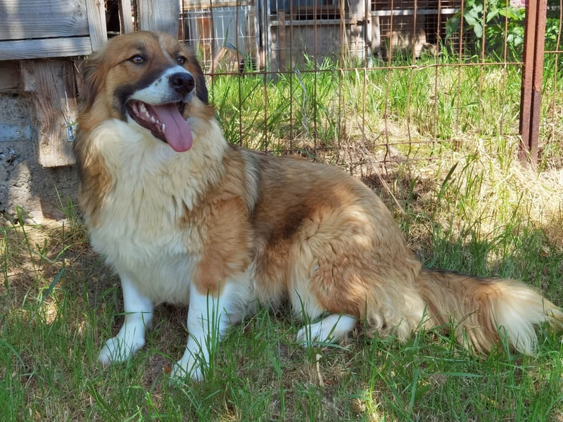 Clara sucht Ihre Menschen