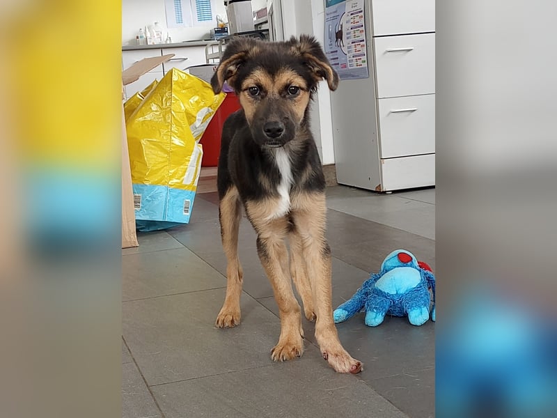 Mila sucht besondere Menschen