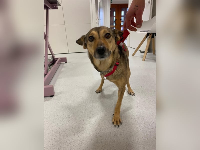 Pax sucht dringend Paten und Spender!