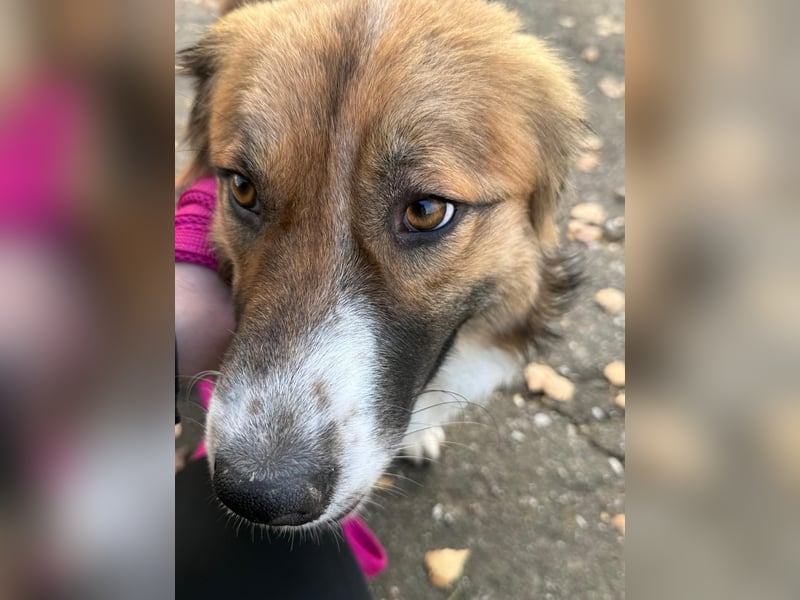 Clara sucht Ihre Menschen