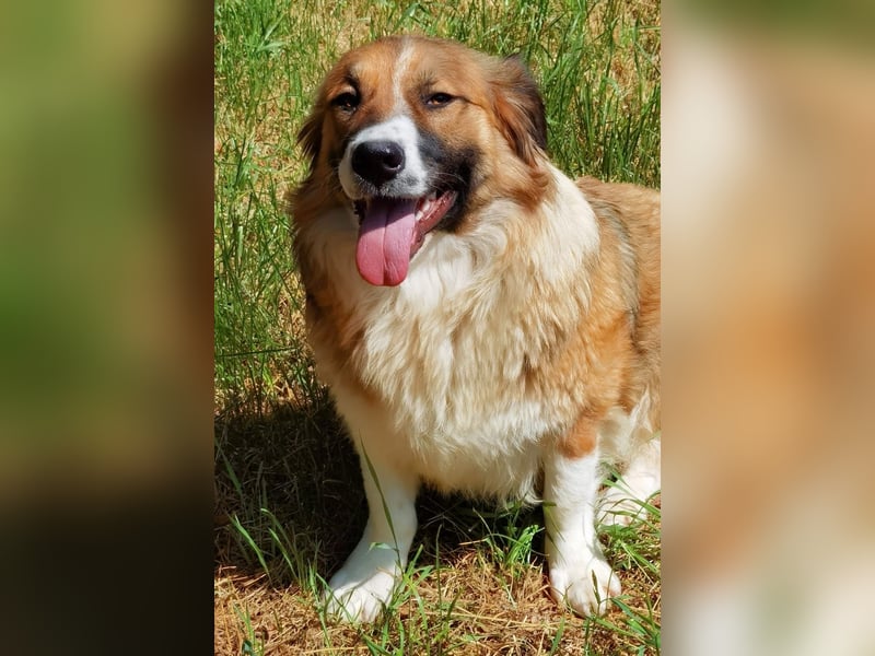 Clara sucht Ihre Menschen