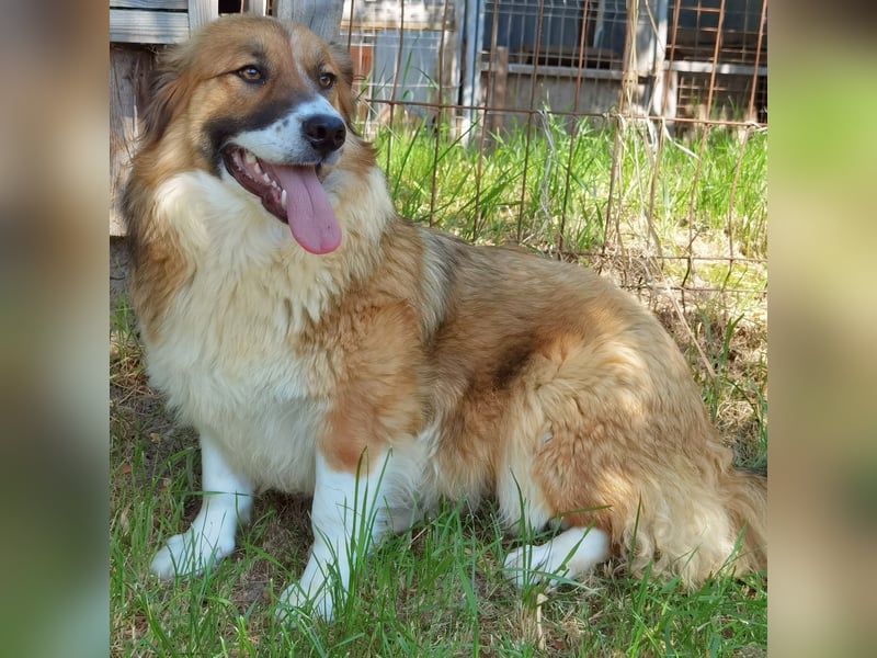 Clara sucht Ihre Menschen