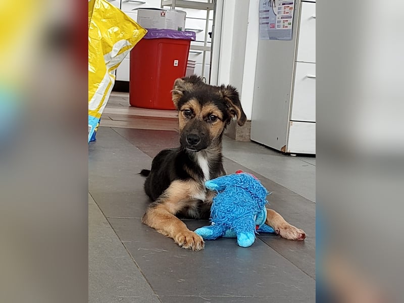 Mila sucht besondere Menschen