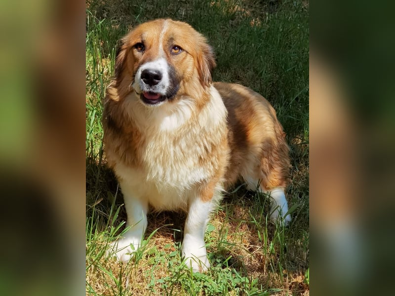 Clara sucht Ihre Menschen