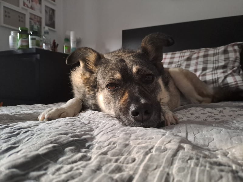 Kona sucht ihr Glück