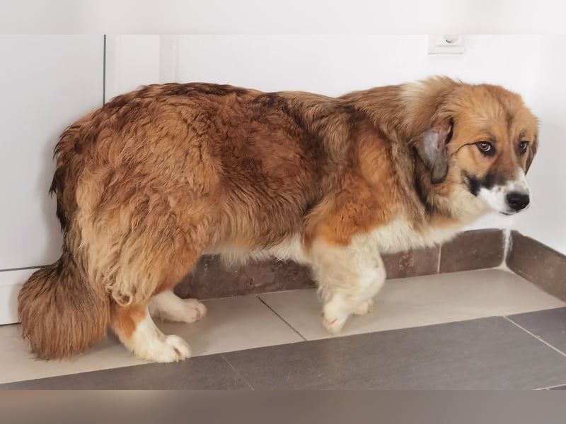 Clara sucht Ihre Menschen