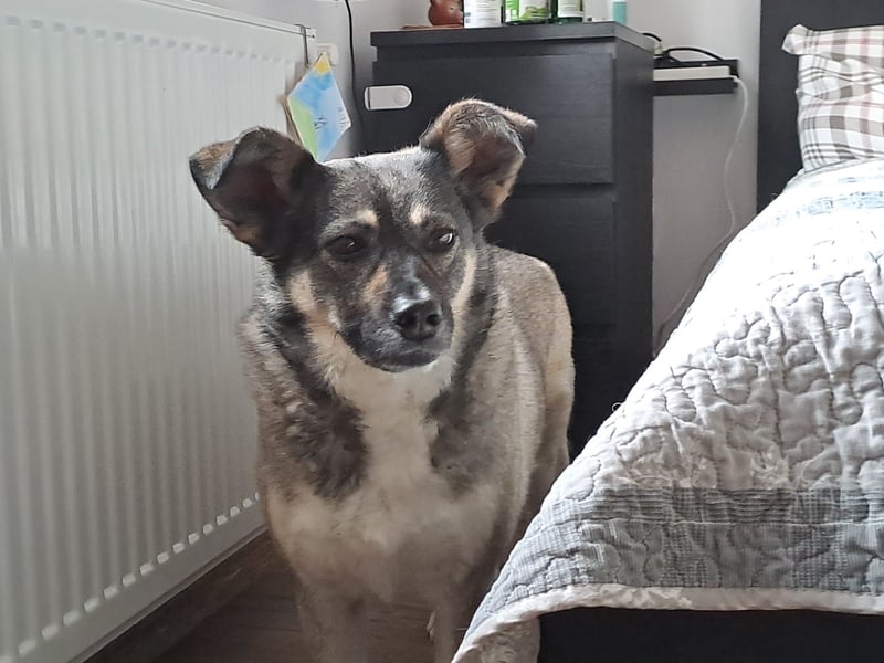Kona sucht ihr Glück