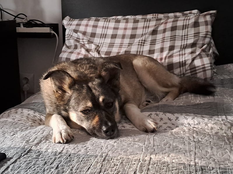 Kona sucht ihr Glück