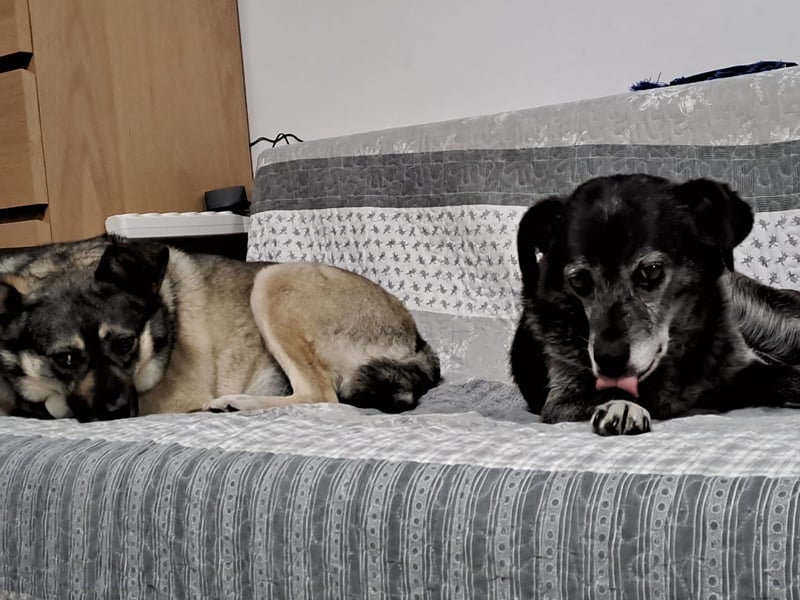 Kona sucht ihr Glück