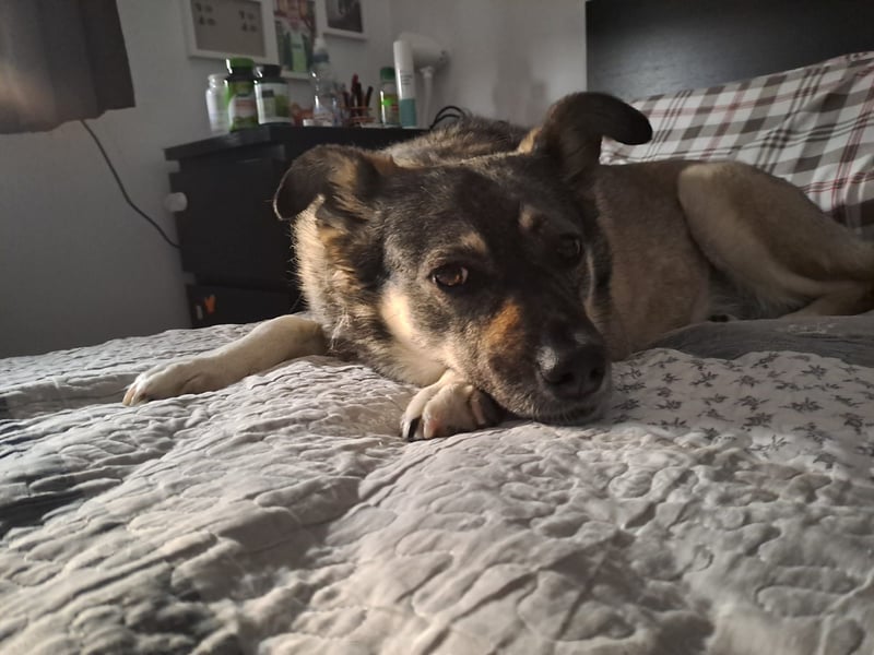Kona sucht ihr Glück