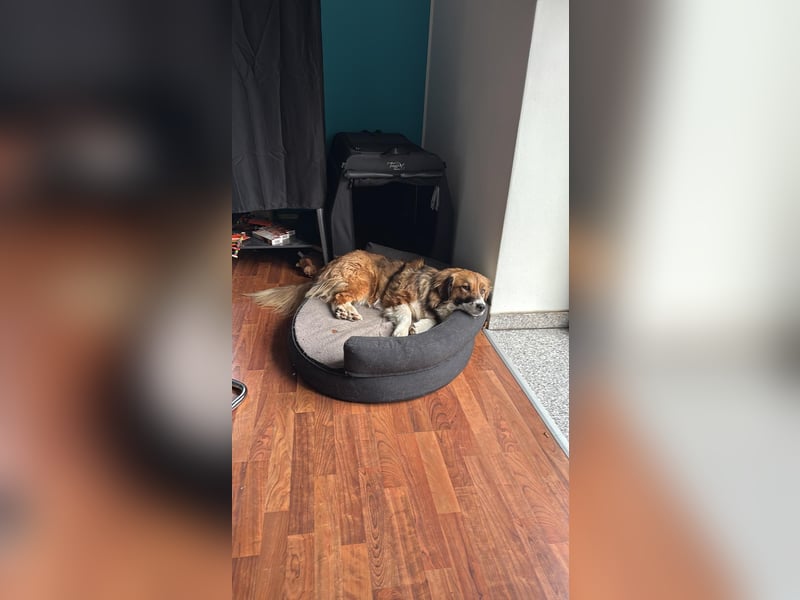 Clara sucht Ihre Menschen